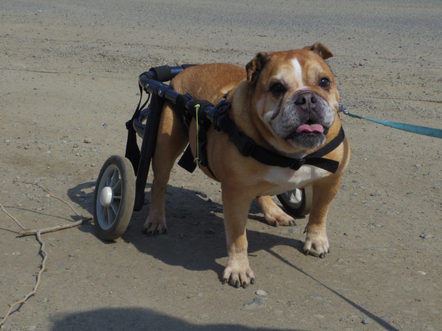 640×480-IMGP3083.jpg