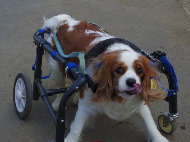 640×480-IMGP3085.jpg