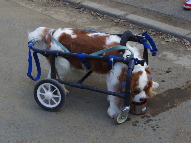 640×480-IMGP3086.jpg