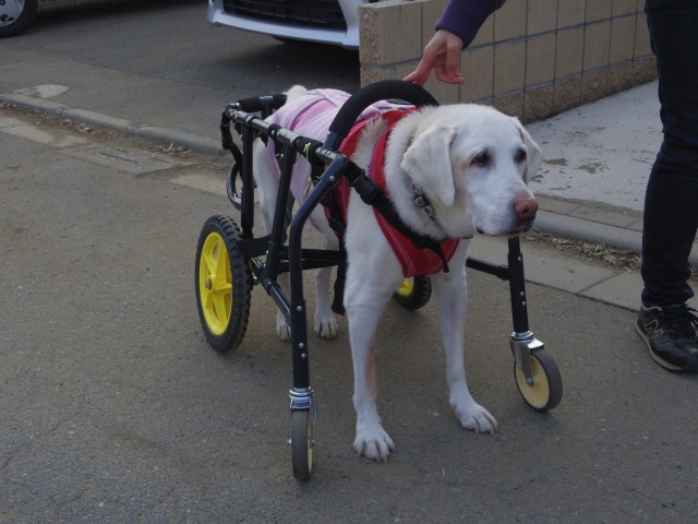 640×480-IMGP3093.jpg