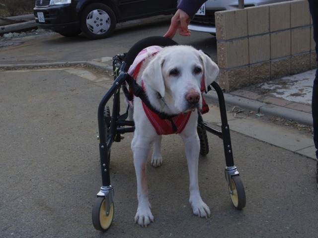 640×480-IMGP3094.jpg
