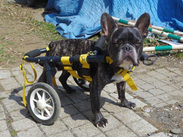 640×480-IMGP3134.jpg