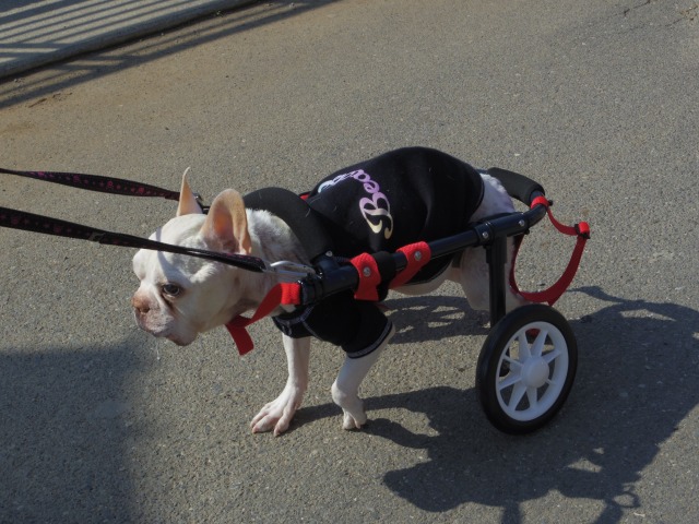 640×480-IMGP3187.jpg