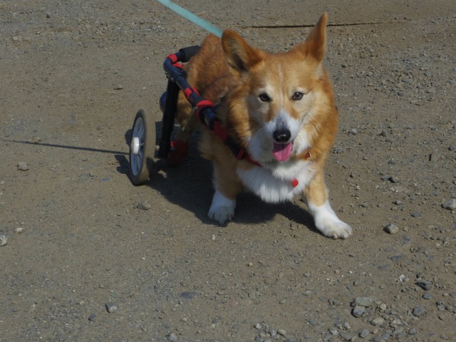 640×480-IMGP3196.jpg