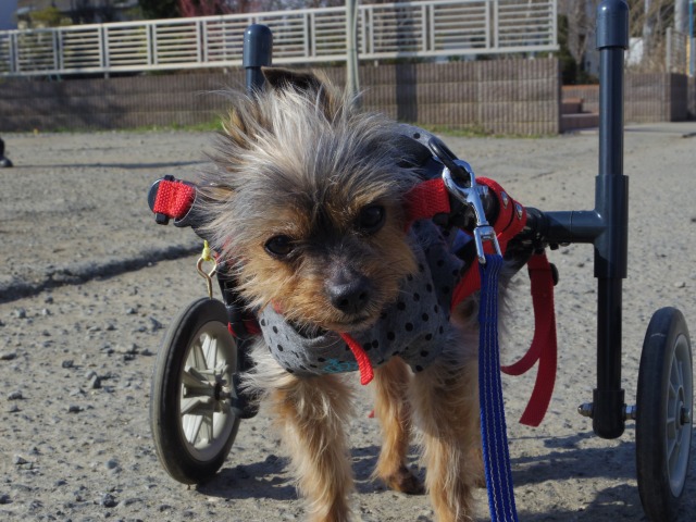 640×480-IMGP3209.jpg