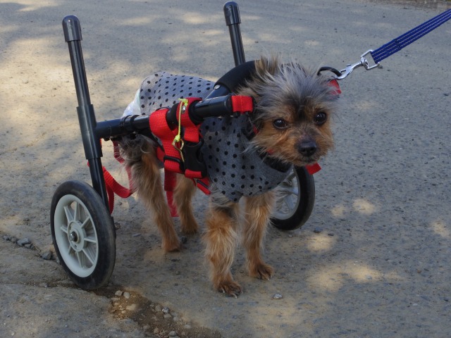 640×480-IMGP3210.jpg