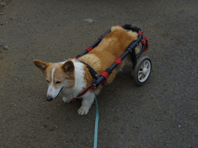 640×480-IMGP3225.jpg