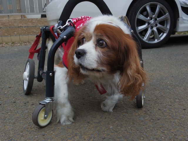 640×480-IMGP3230.jpg