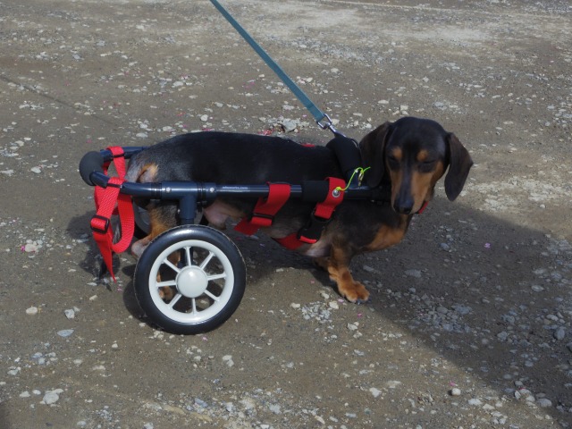 640×480-IMGP3234.jpg