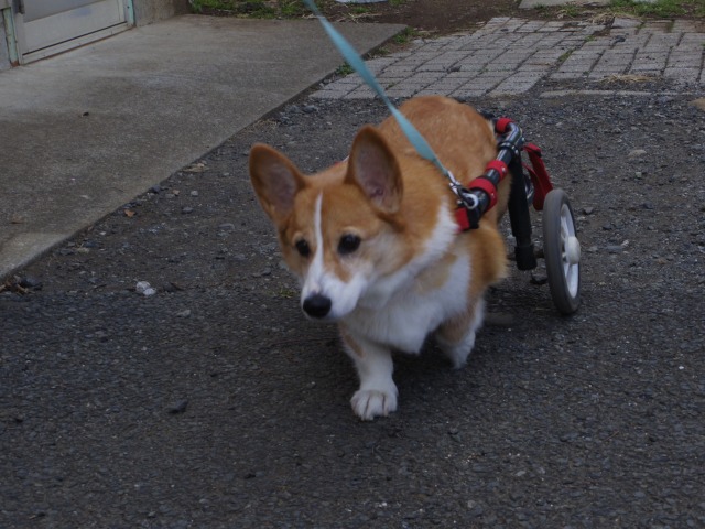 640×480-IMGP3241.jpg