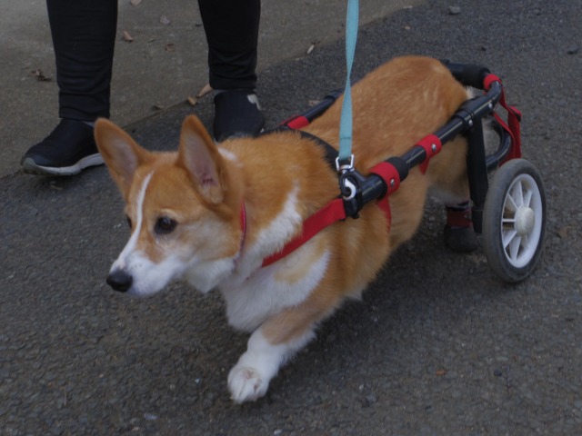 640×480-IMGP3242.jpg