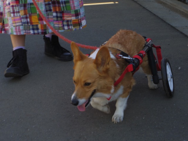 640×480-IMGP3263.jpg