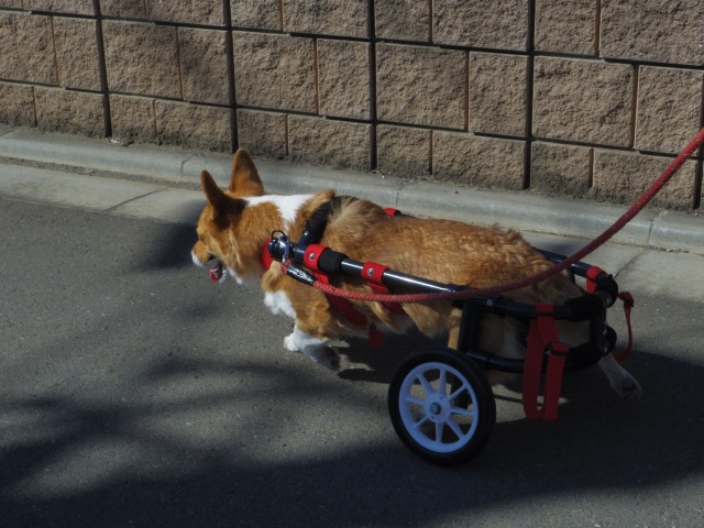 640×480-IMGP3264.jpg