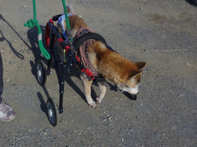 640×480-IMGP3269.jpg