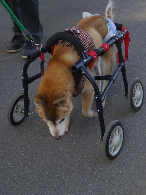 640×480-IMGP3274.jpg