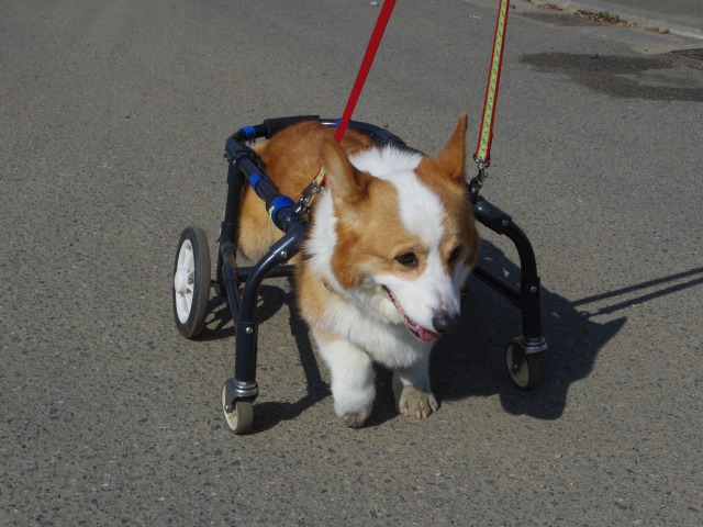 640×480-IMGP3290.jpg