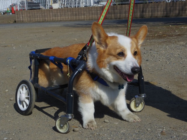 640×480-IMGP3292.jpg