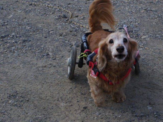 640×480-IMGP3294.jpg