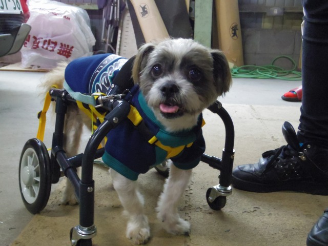 640×480-IMGP3334.jpg