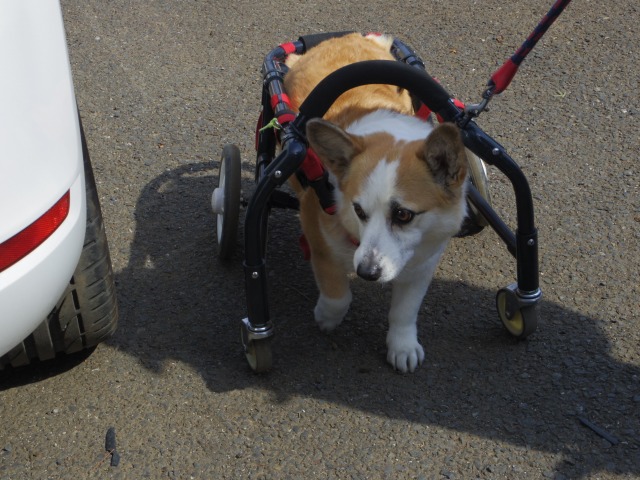 640×480-IMGP3344.jpg