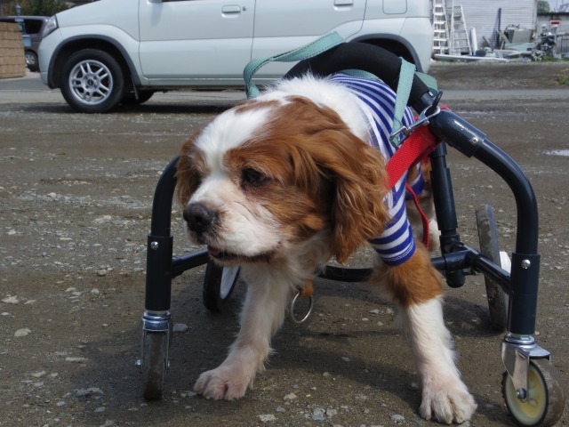 640×480-IMGP3357.jpg