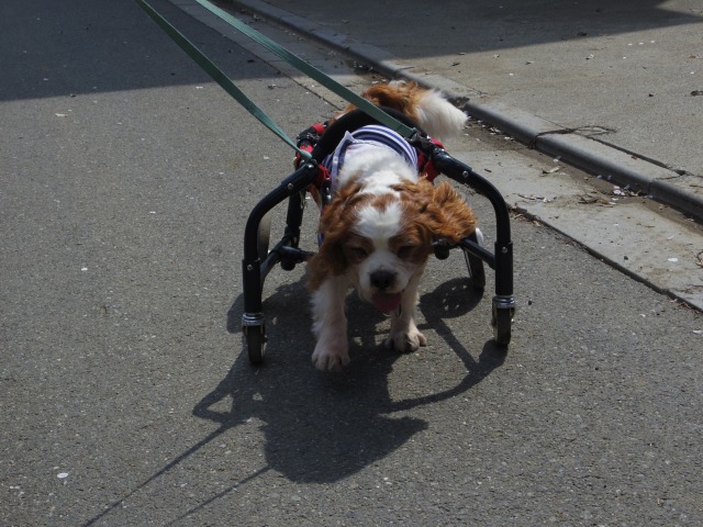 640×480-IMGP3359.jpg