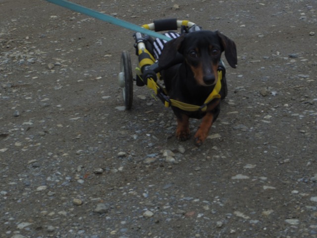 640×480-IMGP3366.jpg