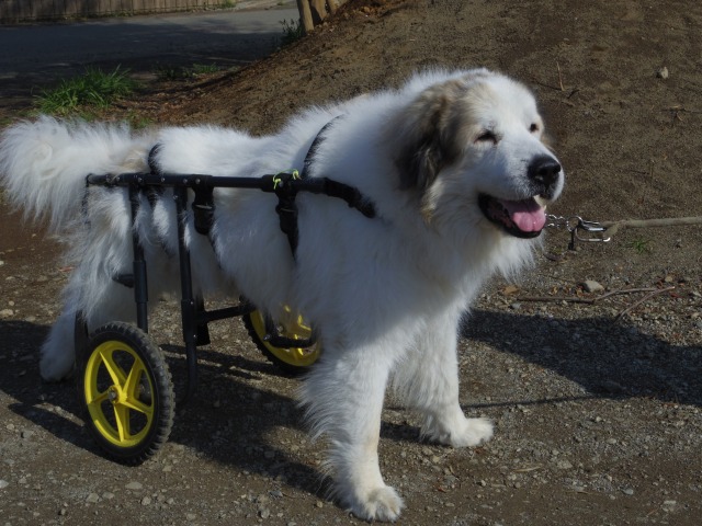640×480-IMGP3384.jpg
