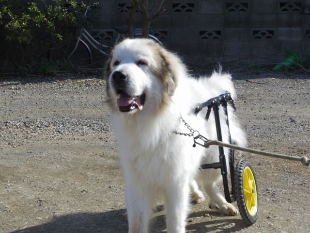 640×480-IMGP3393.jpg