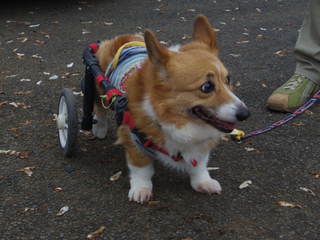 640×480-IMGP3394.jpg
