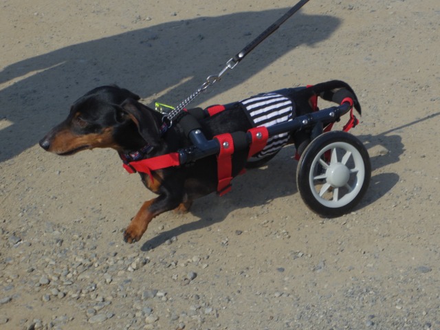 640×480-IMGP3400.jpg