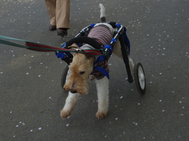640×480-IMGP3416.jpg