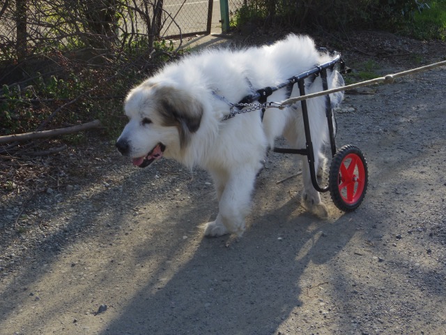640×480-IMGP3442.jpg