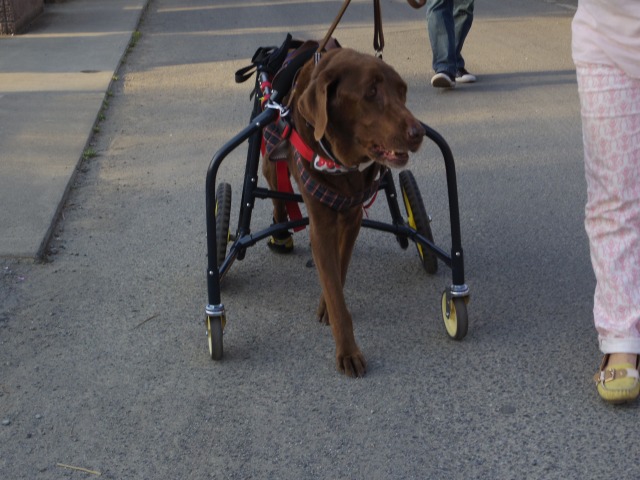 640×480-IMGP3444.jpg