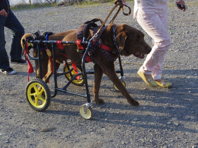 640×480-IMGP3450.jpg