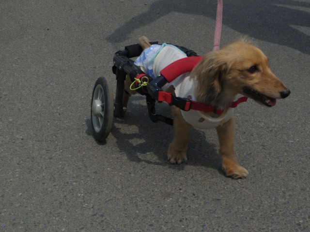 640×480-IMGP3483.jpg