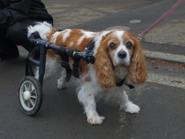 640×480-IMGP3526.jpg