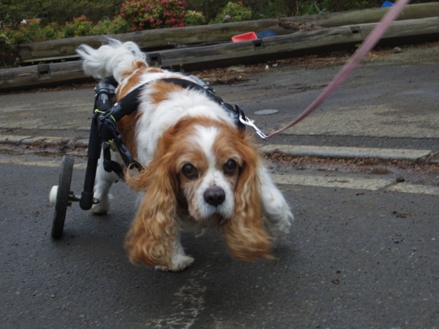 640×480-IMGP3528.jpg