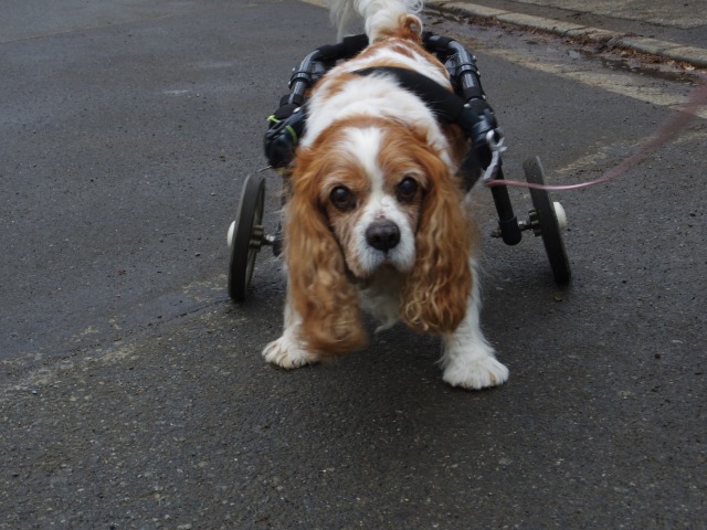 640×480-IMGP3529.jpg