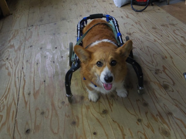 640×480-IMGP3532.jpg