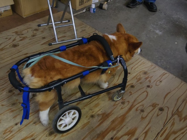640×480-IMGP3533.jpg