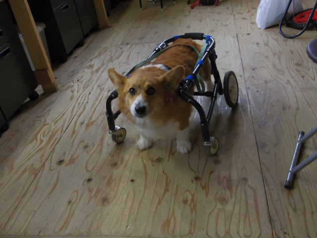 640×480-IMGP3535.jpg