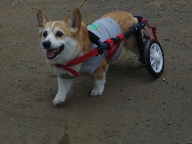 640×480-IMGP3547.jpg