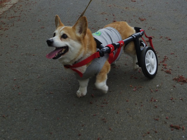 640×480-IMGP3553.jpg