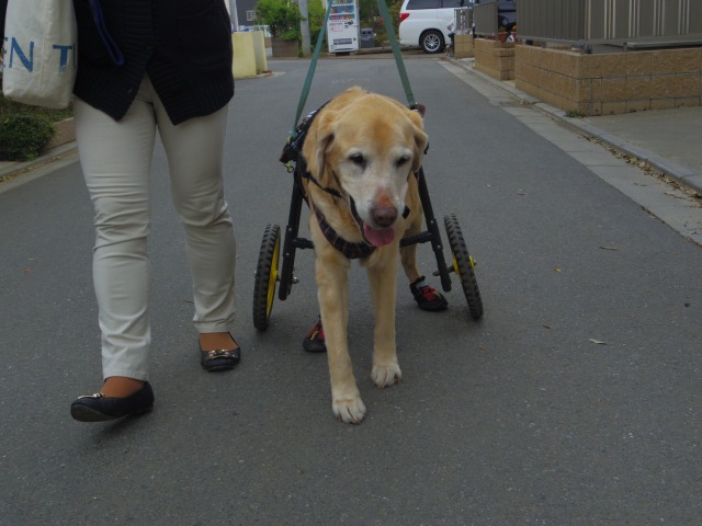 640×480-IMGP3559.jpg