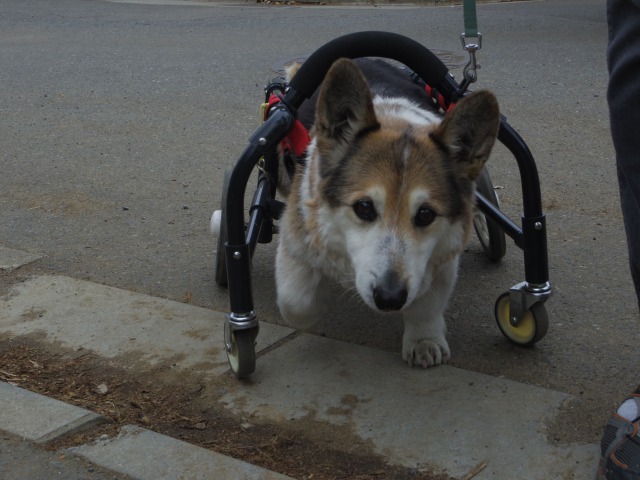 640×480-IMGP3561.jpg