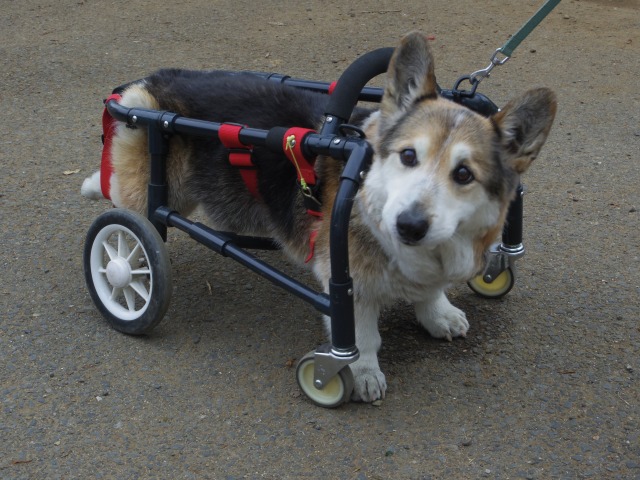 640×480-IMGP3564.jpg