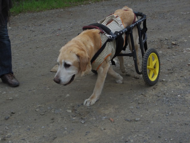 640×480-IMGP3568.jpg