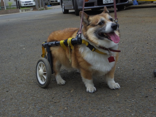 640×480-IMGP3579.jpg
