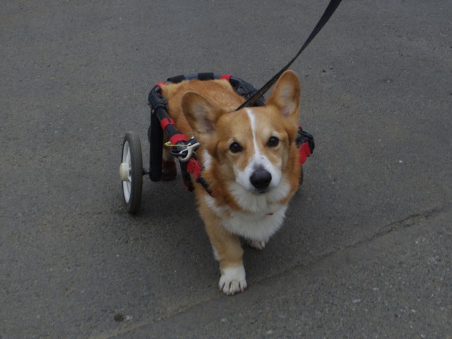 640×480-IMGP3583.jpg